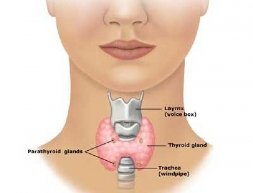 Hypothyroidism signs and symptoms